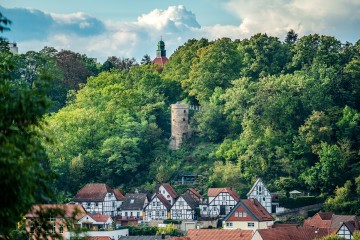 Warburg Herbst 2017 0352