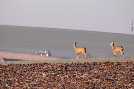 52746956 1235804263245644 3638267397737021440 o