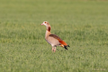 56201058 1256760887816648 8559954517683077120 o