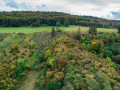 DJI 0012 B Ebersch  tzer Klippen