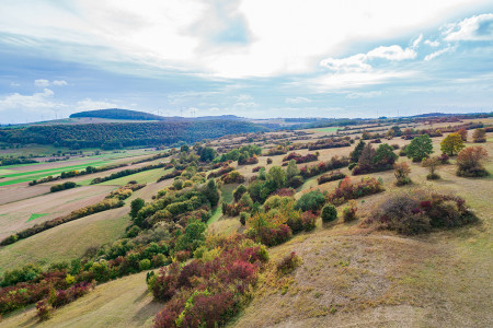 DJI 0050 B H  lleberg Stahlberg