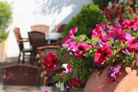 teaser referenz foto aussen 08