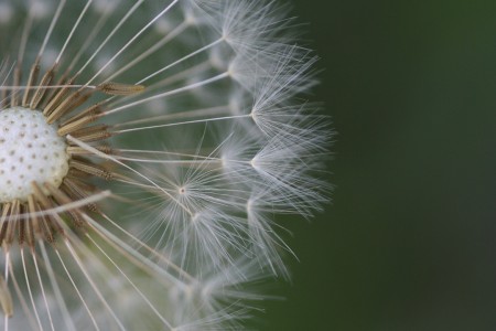 teaser referenz foto natur 01