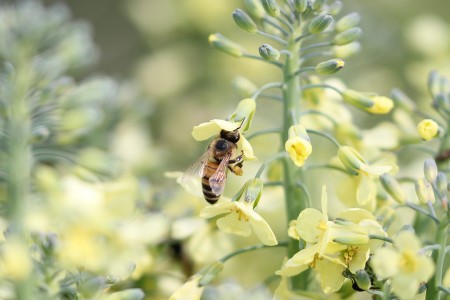 teaser referenz foto natur 04