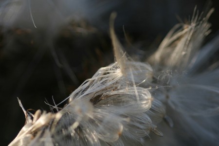 teaser referenz foto natur 06