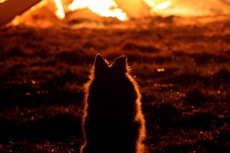 teaser referenz foto natur 07