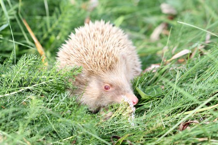 teaser referenz foto natur 18