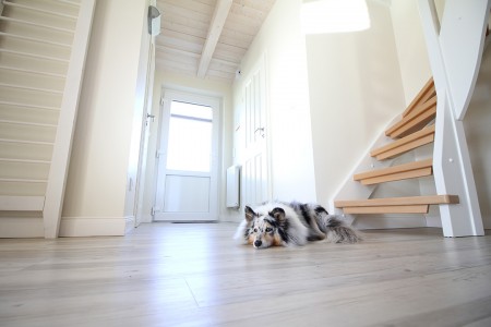 teaser referenz foto raum 21