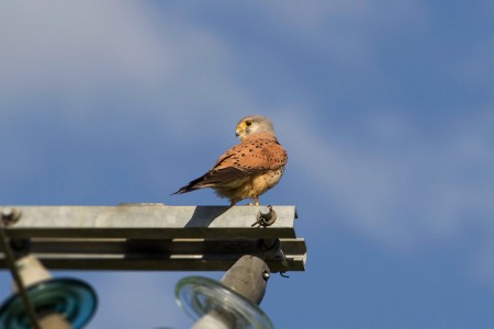 teaser referenz foto natur 23