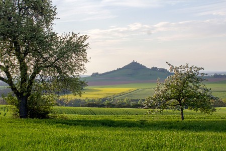 teaser referenz foto natur 24