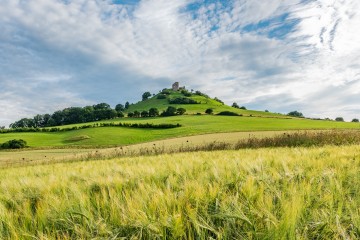 Desenberg Sum 2017 0025