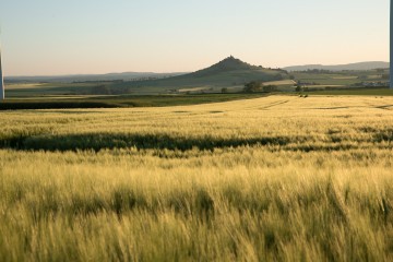 Landschaft Fr  hling 2017 0151 1