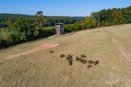 teaser referenz fotografie drohne 26