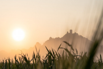 kalender desenberg 2024