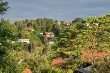 kalender warburg 2024 august